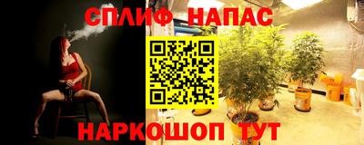 дмт Бузулук