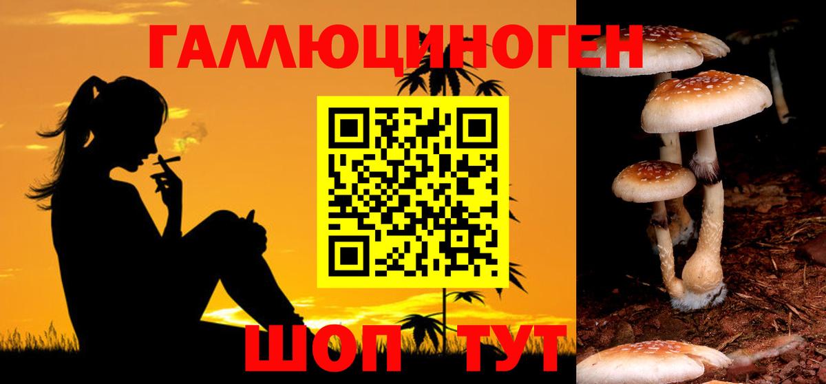 Лосино-Петровский  Галлюциногенные грибы Magic Shrooms  Вход с VPN  Псилоцибиновые грибы MAGIC MUSHROOMS 